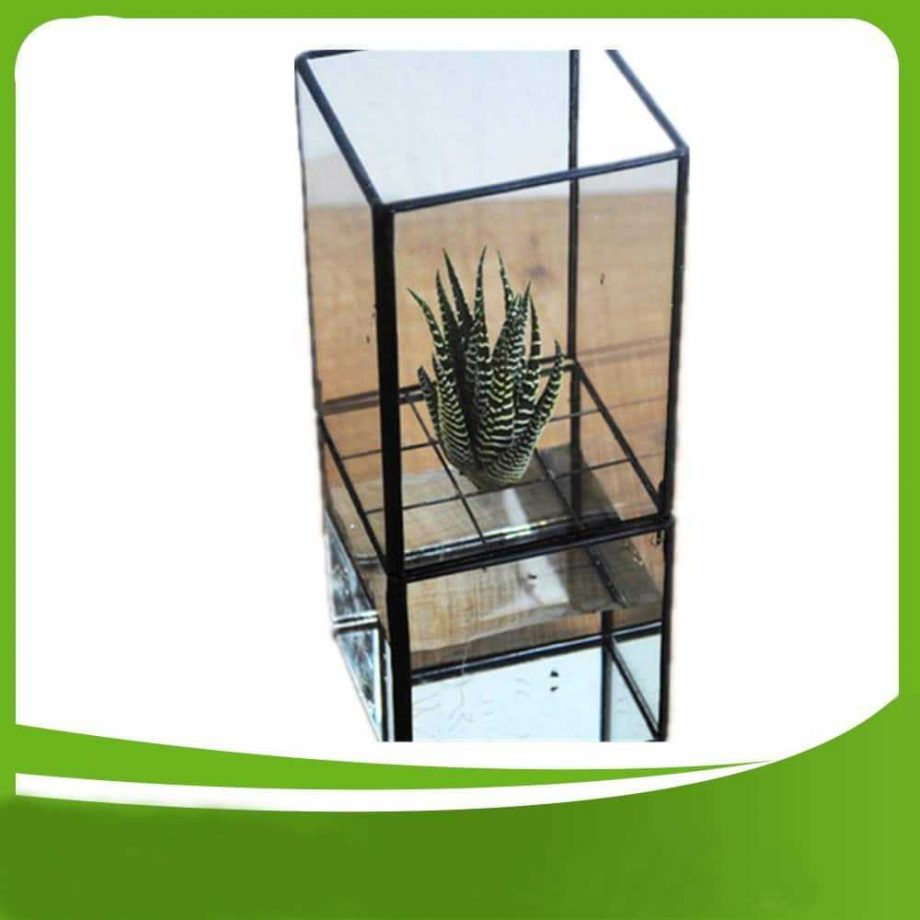 Hydroponic Glass Terrarium