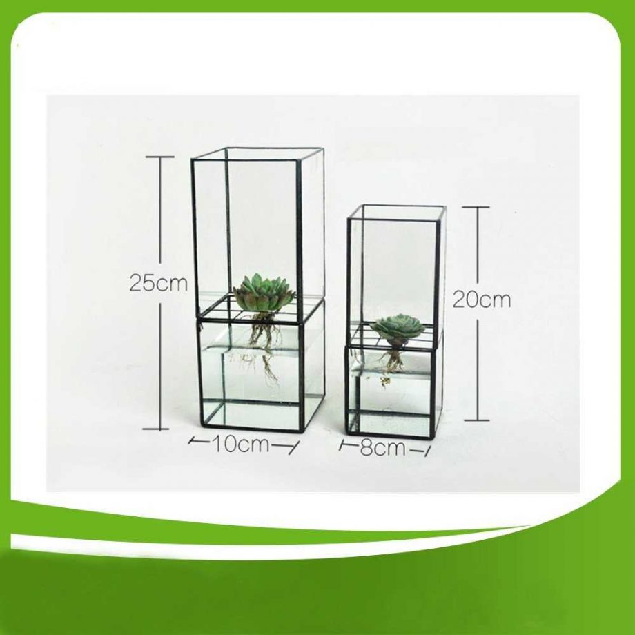 Hydroponic Glass Terrarium