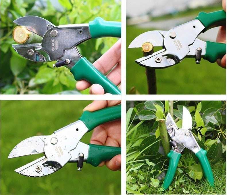 Carbon Steel Pruning Shears for Gardening