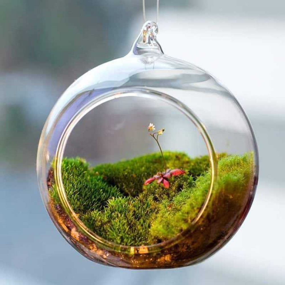 Cute Decorative Hanging Transparent Glass Vase