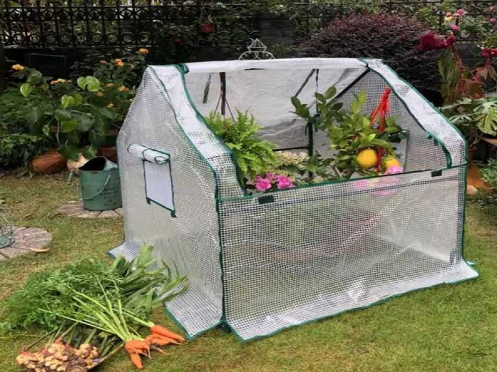 Garden Starter Greenhouse