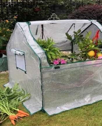 Garden Starter Greenhouse