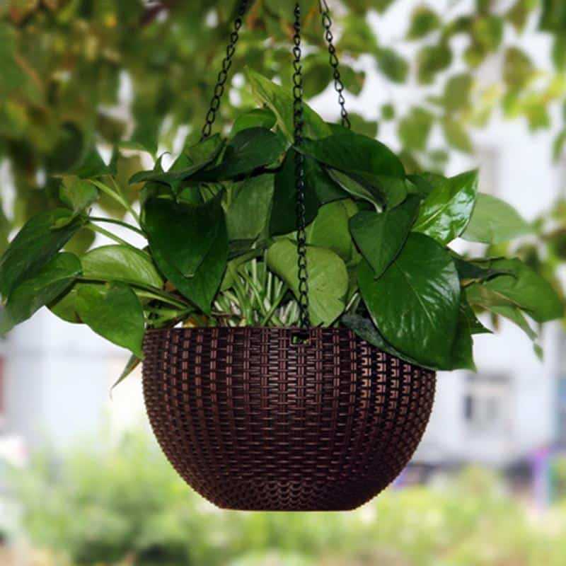 Innovative Hanging Plant Pots